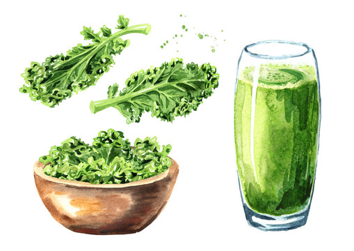 Kale Juice Smoothie  With Curly Kale Leaf Set. Watercolor Hand Drawn Illustration, Isolated On White Background