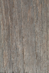textura madera macro
wood texture
