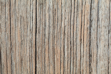 textura madera macro
wood texture
