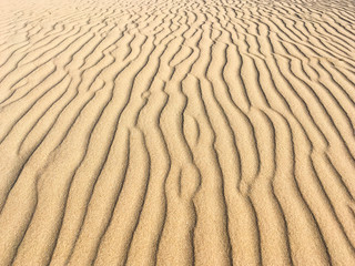 sand ripples in the desert