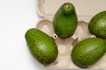 ripe green avocado on a light background