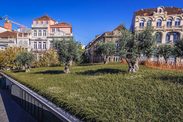 Green roof of commercial buildings on Lisbon Square in Porto, Portugal
