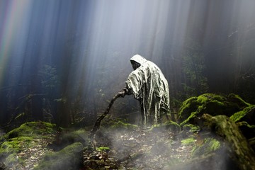 Ghost or  phantom in mysterious and magic forest. Rays of light shine through the trees. Concept...