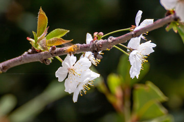 How nice the beginning of spring!