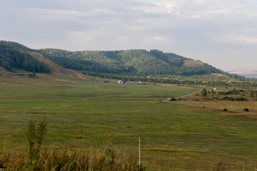 Fototapeta premium Suburb and villages. Big mountains and green forests. Trees and their shadows on the grass. Summer day with dark blue and grey sky and clouds. Fields. Fresh air.