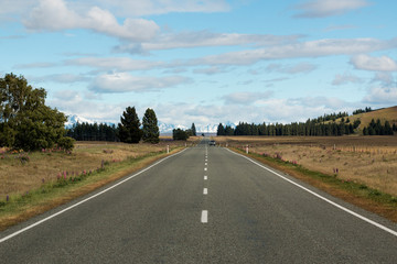 On the road, New Zealand, 