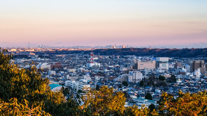 Fototapeta premium 飯能市 天覧山からの眺め 夕方