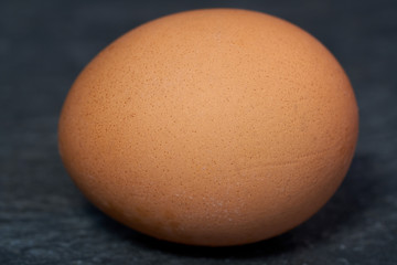 Isolated egg in shell, food macro, closeup.              
