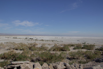 Landscape of the area near the shore of the Salton Sea