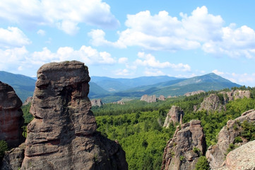 Fototapeta na wymiar Belogradchik rocks formation in the forest against clear blue sky in summer