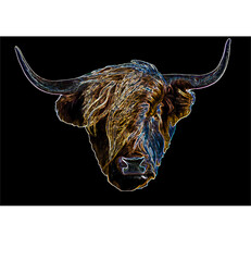 Highland Cow Stylised - 338903305