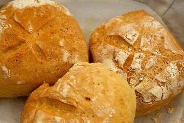 panini pane pagnotte di grano 