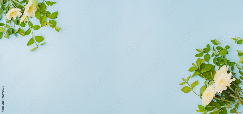 Wall mural flat lay composition with flowers, branches with green leaves on a color background