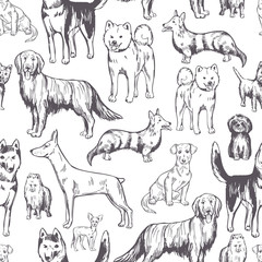 Hand drawn dogs. Vector seamless pattern.