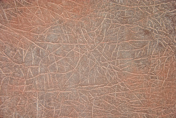 brown leather texture
