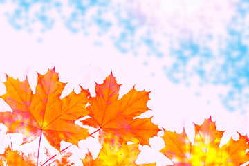 autumn landscape with bright colorful foliage. Indian summer.