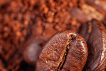 Macro de Granos de cafe 