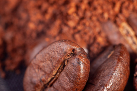 Granos de café y accesorios