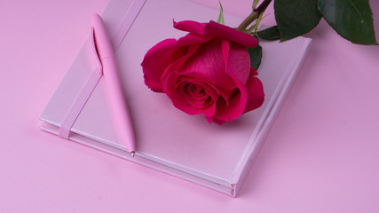 beautiful gift pink tulips with notepad and pen for woman