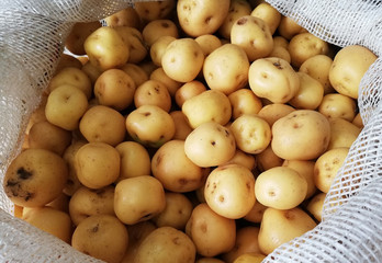 Typical potatoes of Colombian cuisine