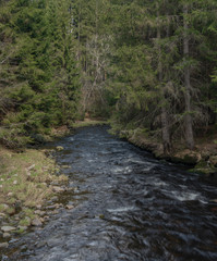 Studena Vltava river in national park Sumava in sunny spring day