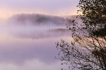 Tree branches in front of misty lake, Sweden.