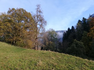 autumn in the mountains