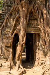 Fototapeta na wymiar Ta Som Temple, Angkor Park, Siem Reap, Cambodia