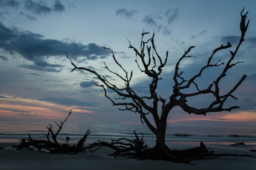 gonna be a long night