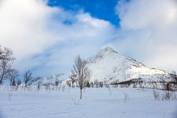 Winter landscape mountains with snow