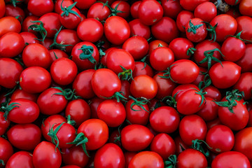 The row of organic red cherry tomatoes beautiful background