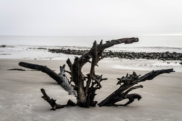 half buried