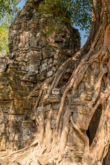 Ta Som Temple, Angkor Park, Siem Reap, Cambodia