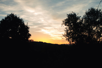 fantastico atardecer en plena luz dorarda en plena naturaleza