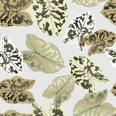Abstract floral pattern with dieffenbachia leaves