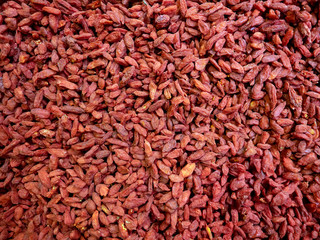 Organic Goji berry (Lycium barbarum).