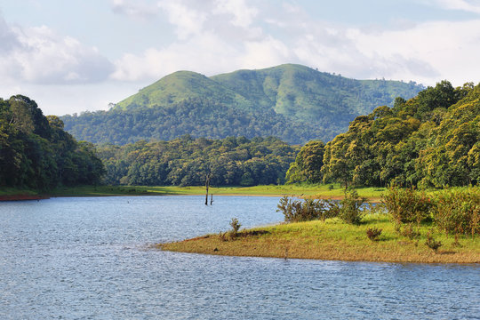 Periyar Images – Browse 573 Stock Photos, Vectors, and Video | Adobe Stock Periyar Images – Browse 573 Stock Photos, Vectors, and Video | Adobe Stock