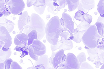 Pale purple floral seamless pattern with flowers orchids on white background. Hand drawn. Vector stock illustration.