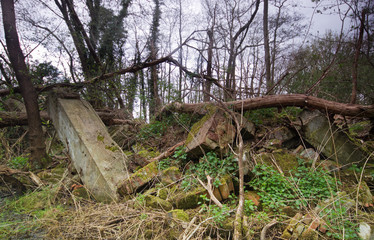 Discarded debris, dumped in forest, Illegal dump construction waste