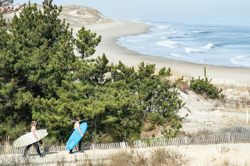 Two surfers walk trail to beach in front of great dune at Herring Point, Cape Henlopen State Park, Delaware