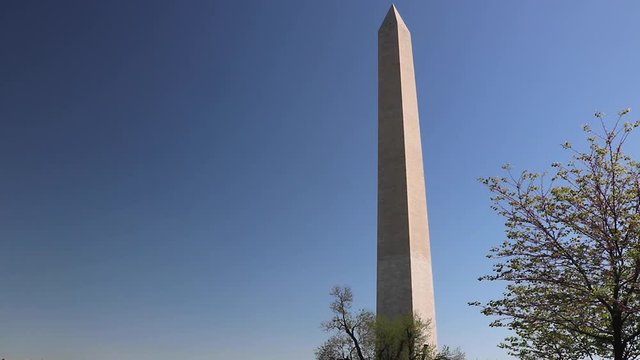 washington monument in washington dc during Cherry Blossom Season