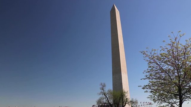 washington monument in washington dc during Cherry Blossom Season