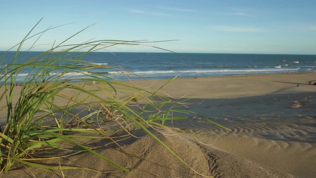 Beautiful view of a windy and sunny summer day at the beach