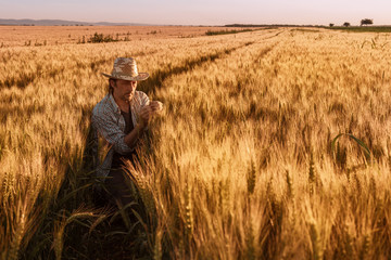 Naklejka na ściany i meble Agronomist farmer is inspecting ripening ears of wheat in field