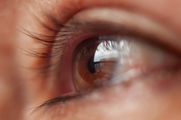 macro de miradas