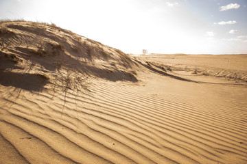Sand waves in the desert. Sand texture. Kharkov, Ukraine. Ukrainian nature. Desert landscape.