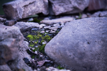 abstract purple stone