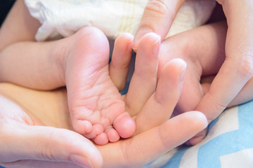 newborn baby legs in parent’s hands folded by heart, the concept of motherhood, fatherhood, child care