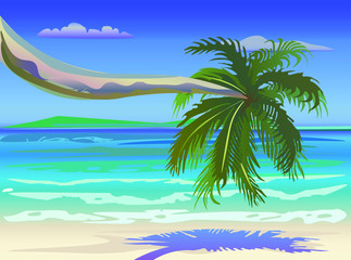 Fototapeta na wymiar tropical beach with palm trees in the paradise
