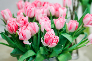 Fototapeta premium Pink tulips are seeing in a bucket.